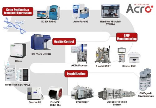 百普赛斯GMP蛋白定制服务 加速细胞与基因治疗药物研发与上市进程